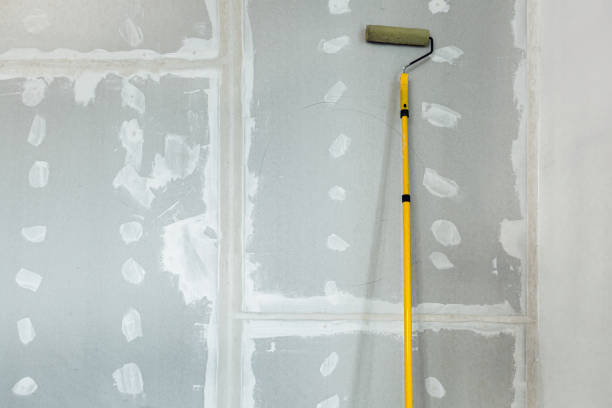 Professional Drywall & Painting Services in Boonville, CA